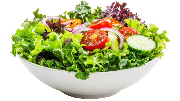 Stadtküche Hettstedt Salatschüssel