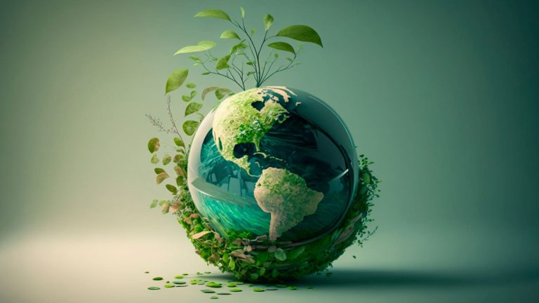Stadtküche Hettstedt Umwelt wir arbeiten Ökologisch