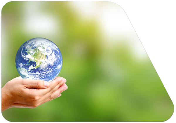 Stadtküche Hettstedt Umwelt & Nachhaltigkeit Erdball